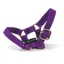 Crafty Pony Headcollar Purple